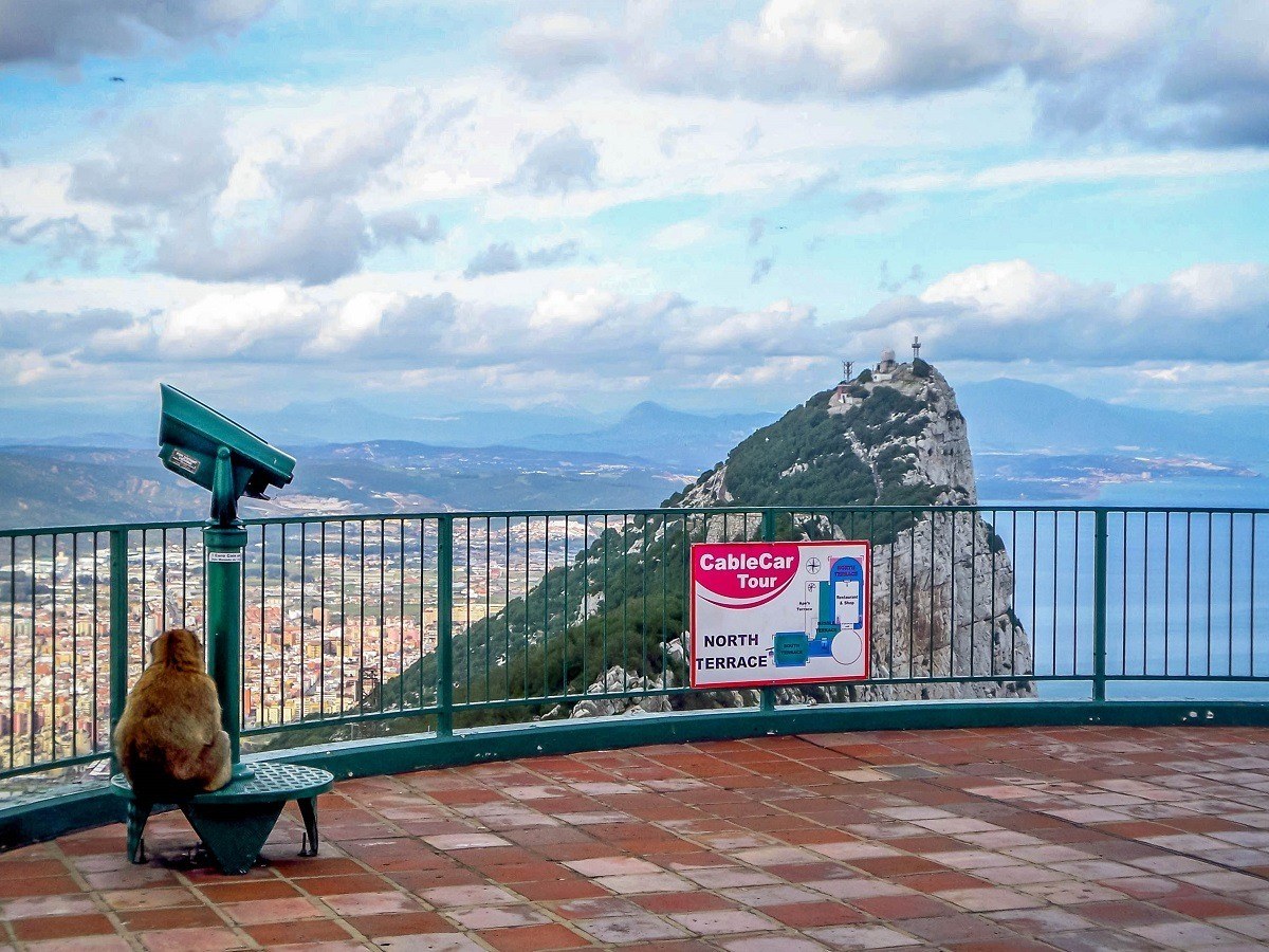 Summit of the Rock with one of the Gibraltar monkeys enjoying the view