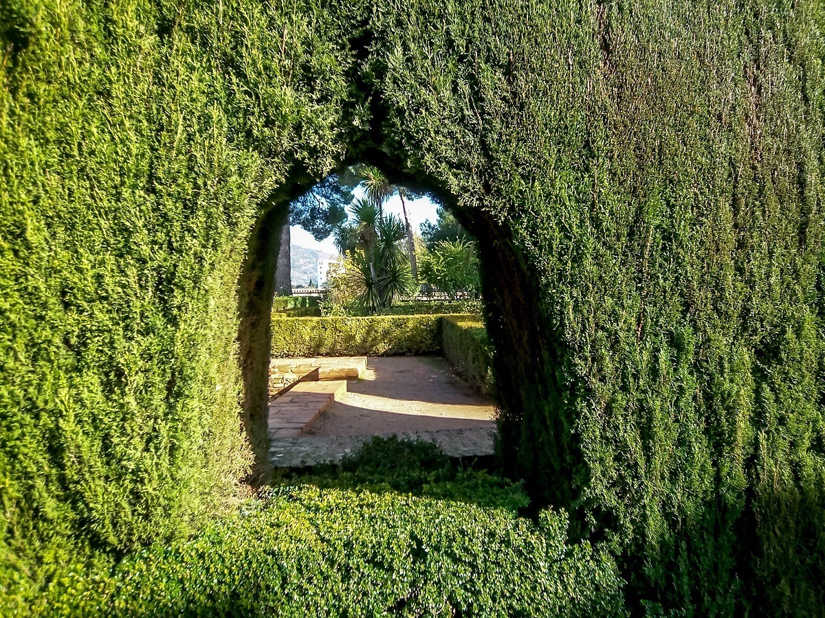 View through a hedge into a courtyard