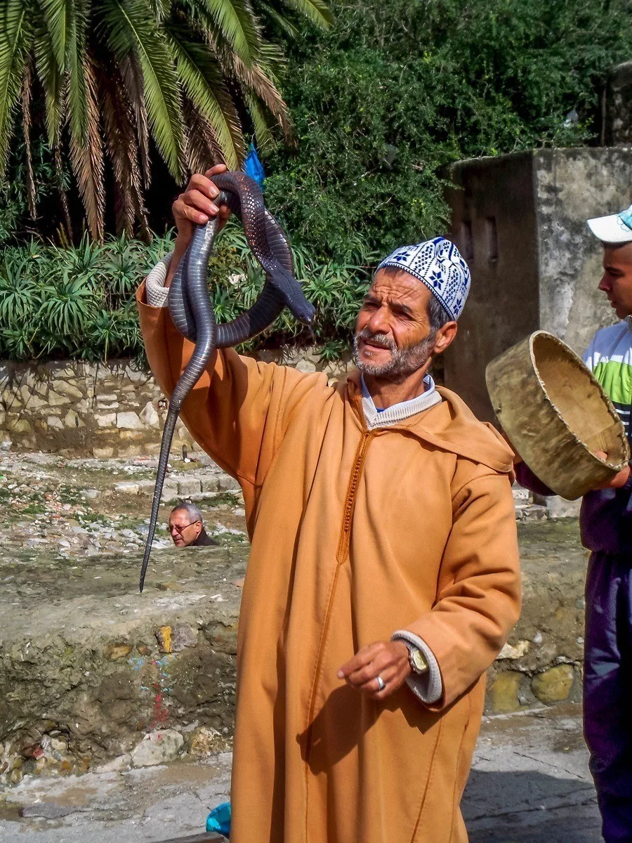 Snake charmer in Tangier
