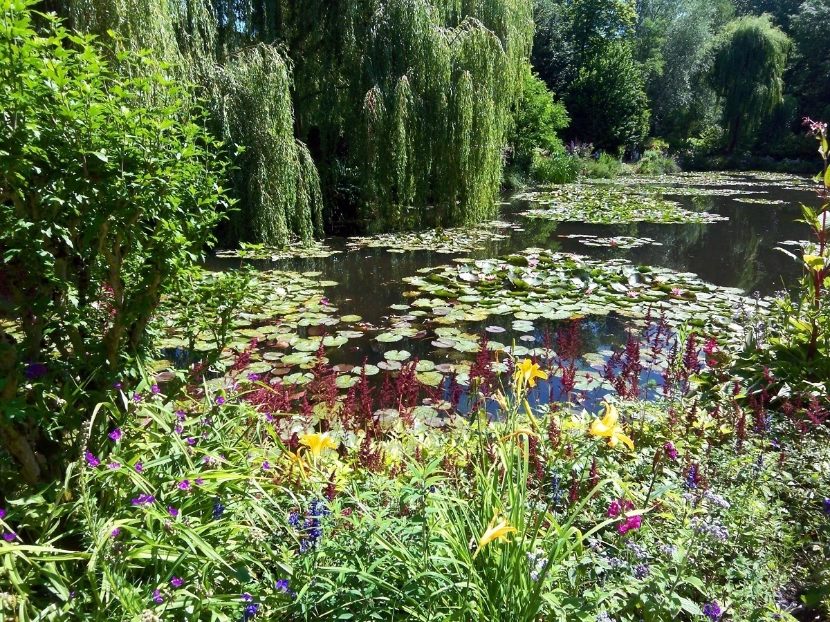 Pond in Monet's Water Garden in Giverny, France