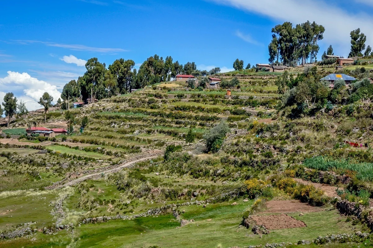 Agricultural terraces on Taquile Island in Lake Titicaca