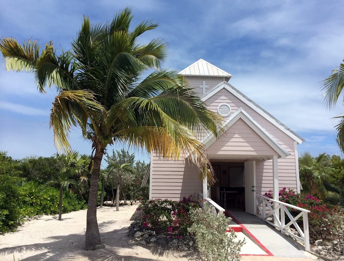 Pink church and palm tree