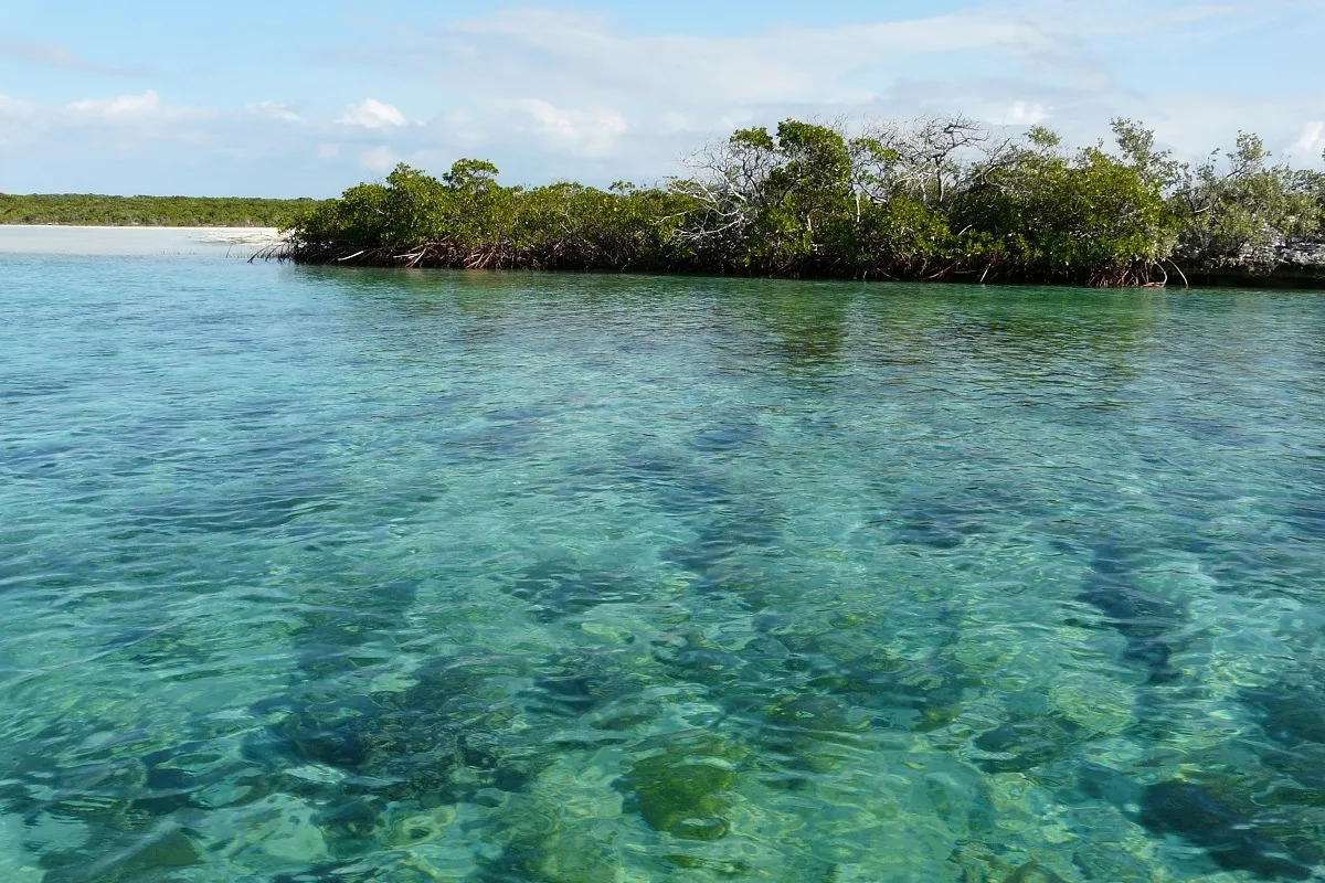 The bonefish lagoon 