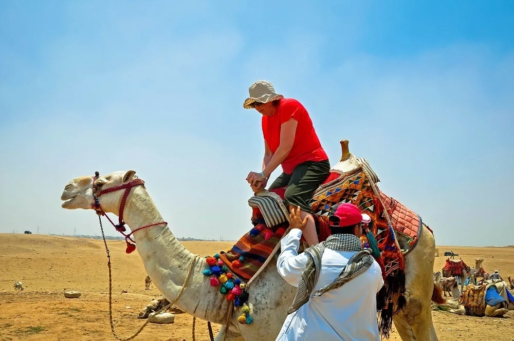 Rider boarding a camel while visiting the Pyramids of Giza