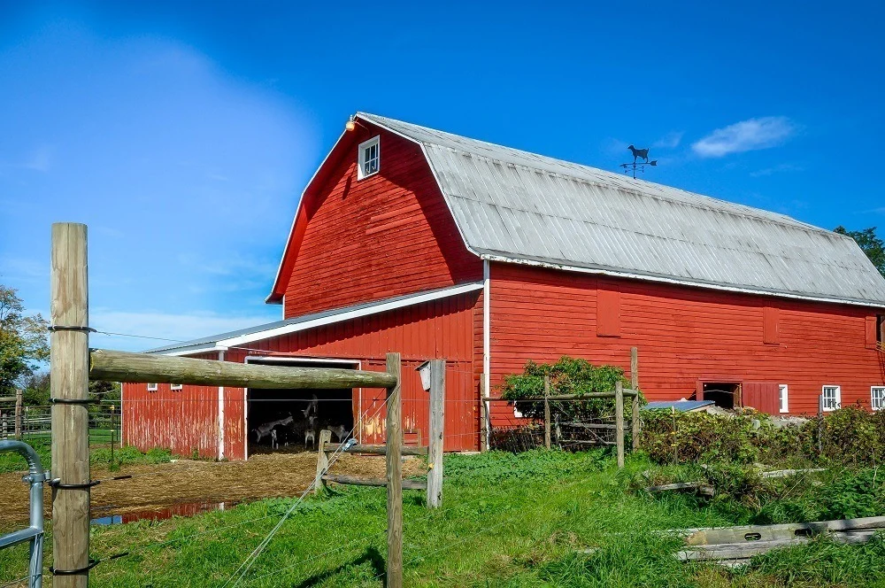 The bright red barn at the Beekman Farm Sharon Springs NY
