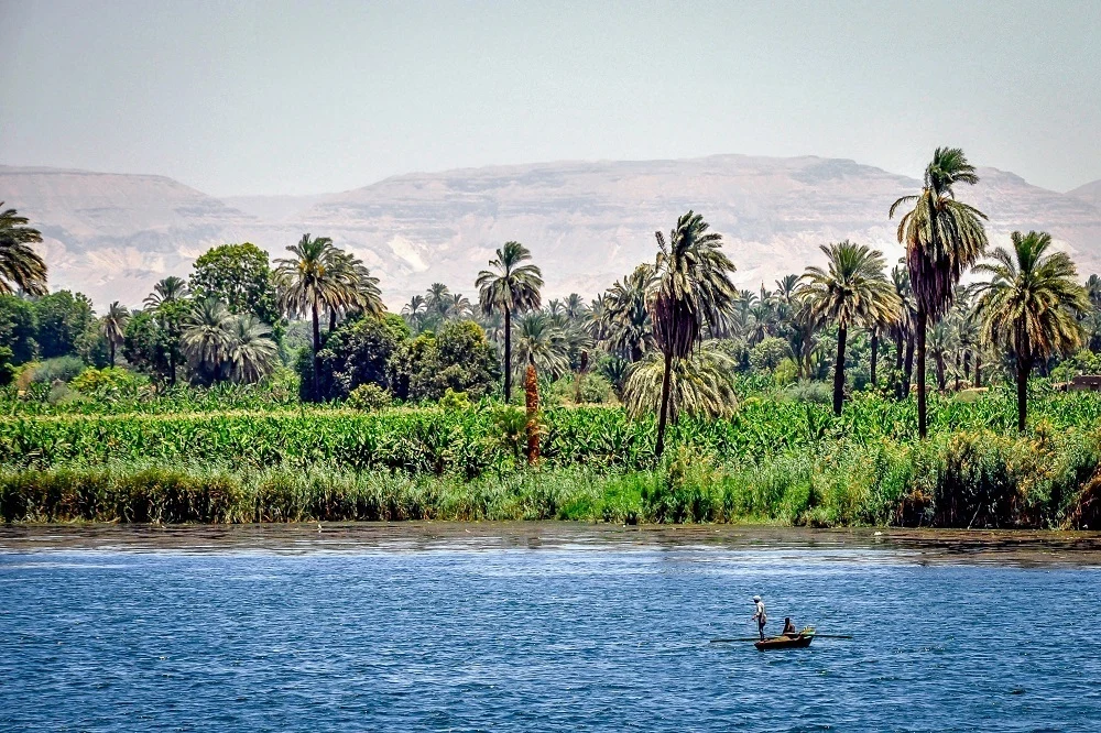 Fishermen on the Nile River with palm trees