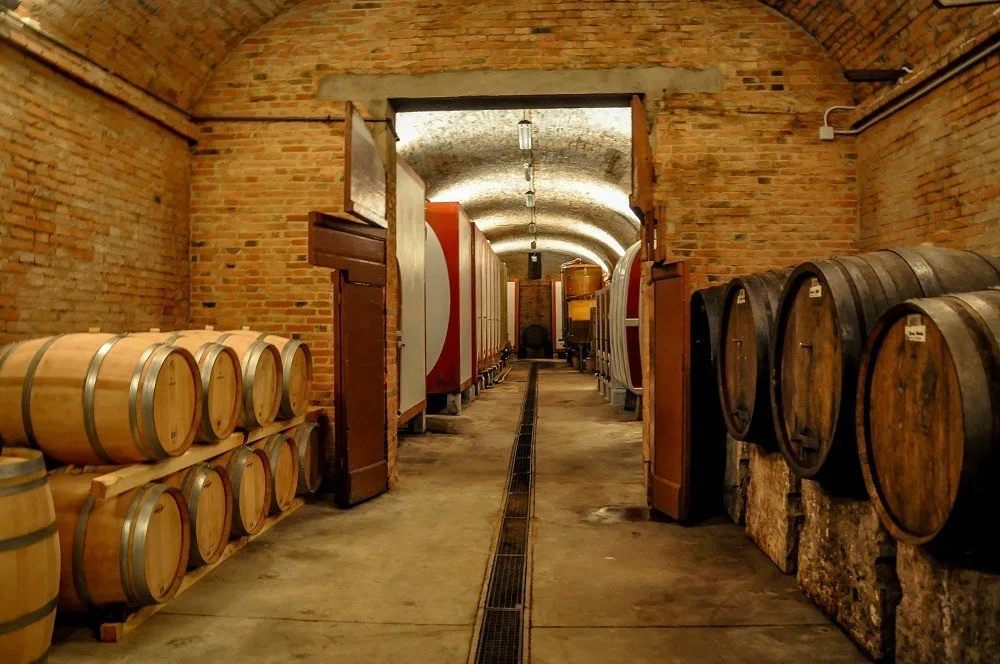 Wine cave at Fattoria Il Piano in San Gimignano during Cantine Aperte
