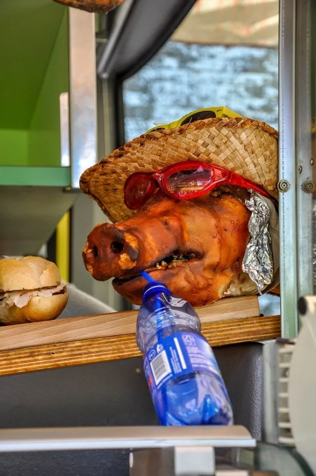 Roasted pig head wearing a hat and glasses