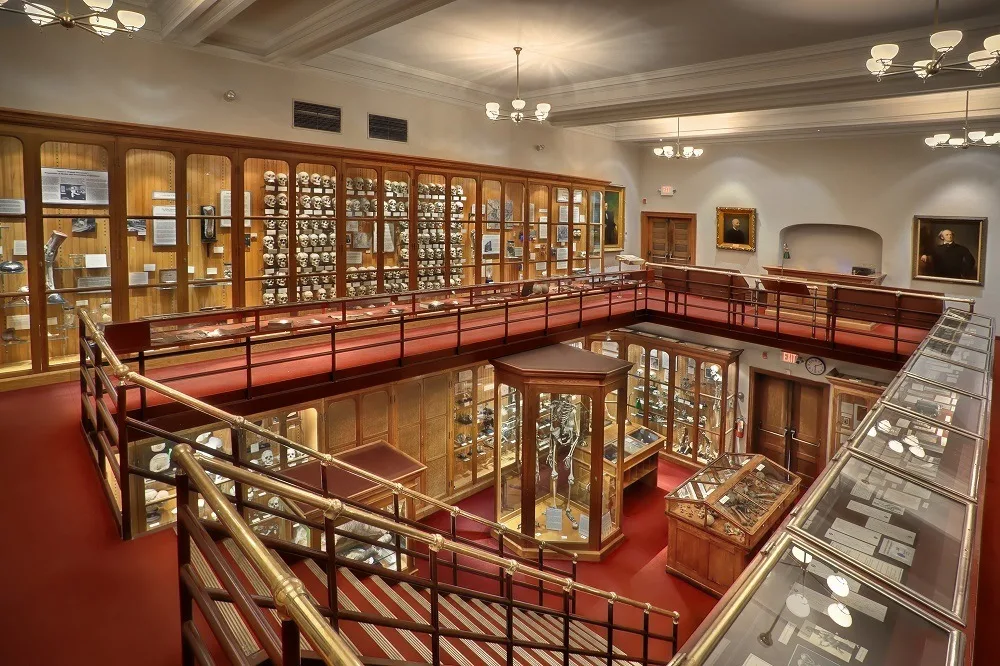 Central gallery of oddities at the Mutter Medical Museum
