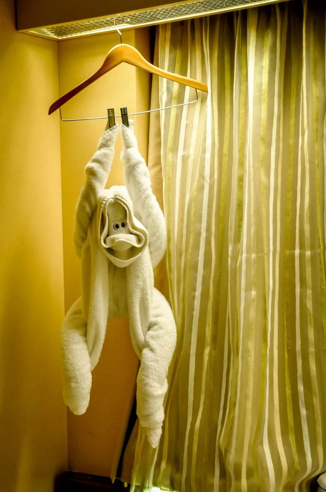 Towel monkey hanging from hanger by clothespins