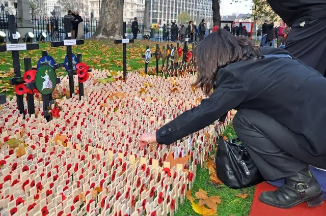 Woman with poppies on the lawn at Westminster Abbey