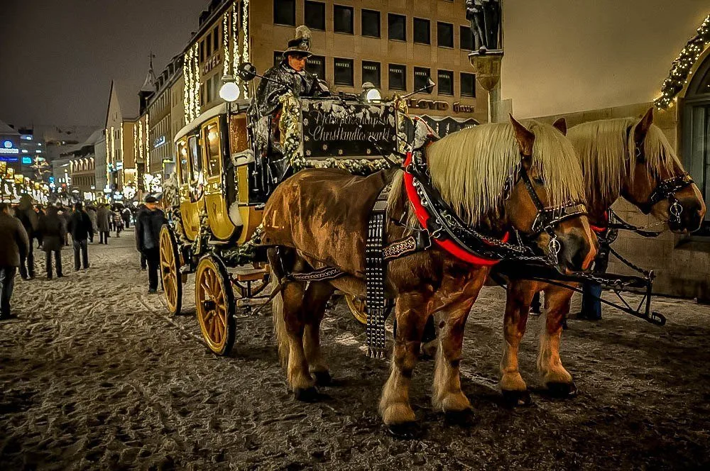 Horse drawn carriage in snow