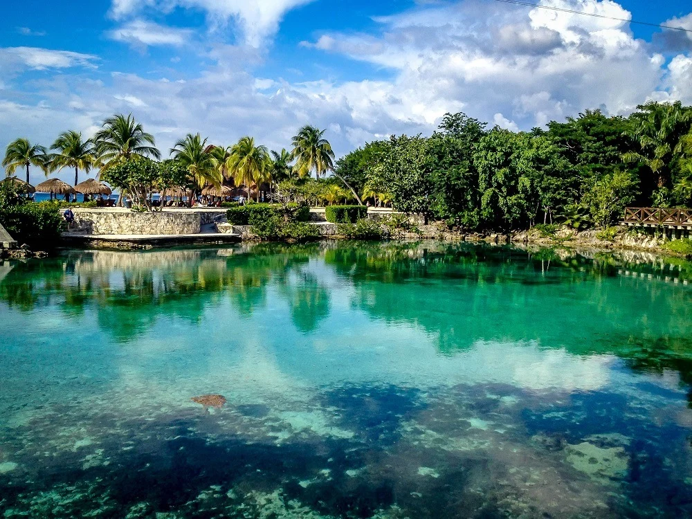 The Lagoon at Chankanaab National Park Cozumel Mexico.  This is one of the most visited national parks in Cozumel Mexico. Despite this presence of fresh water, mosquitoes in Cozumel weren't an issue.