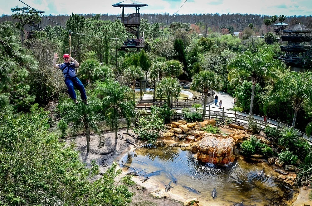 Person ziplining over an alligator pond.