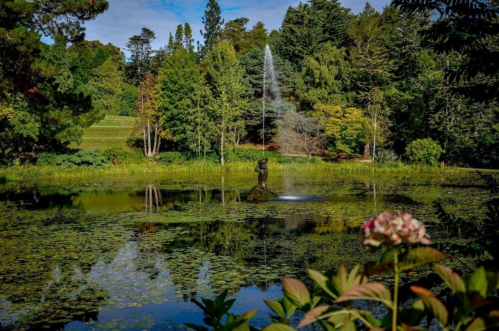 The pond and fountain at the Powerscourt Gardens Ireland