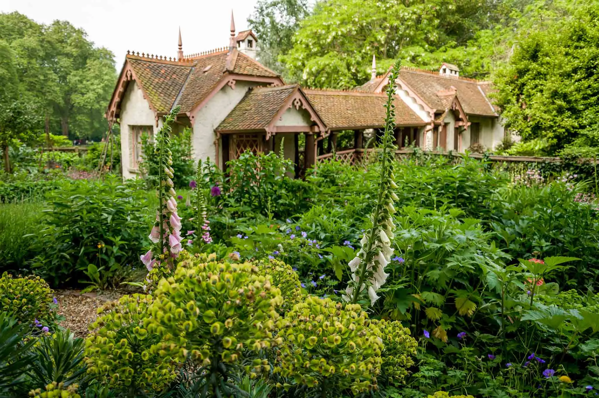 Cottage surrounded by plants and flowers