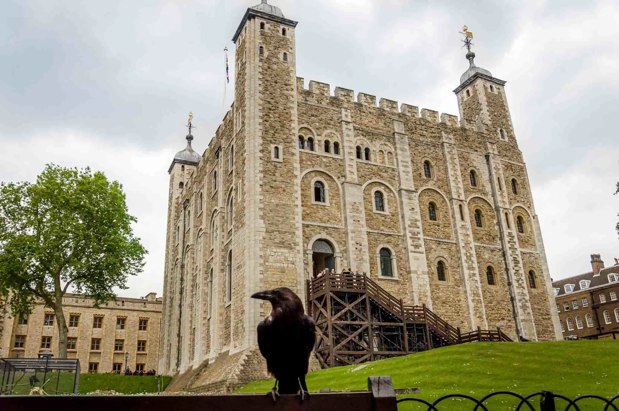 Raven in front of large stone building with turrets, the Tower of London