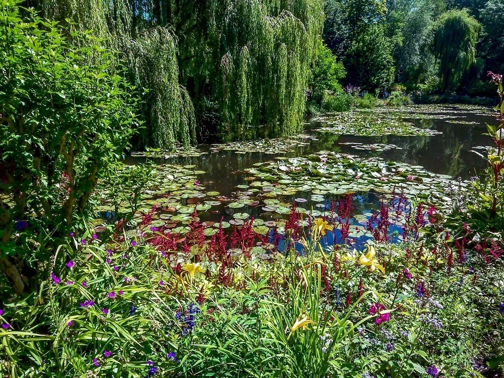Waterlilies and other flowers in Monet's Garden