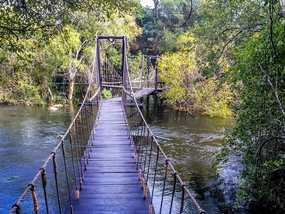 The suspension bridge over the water