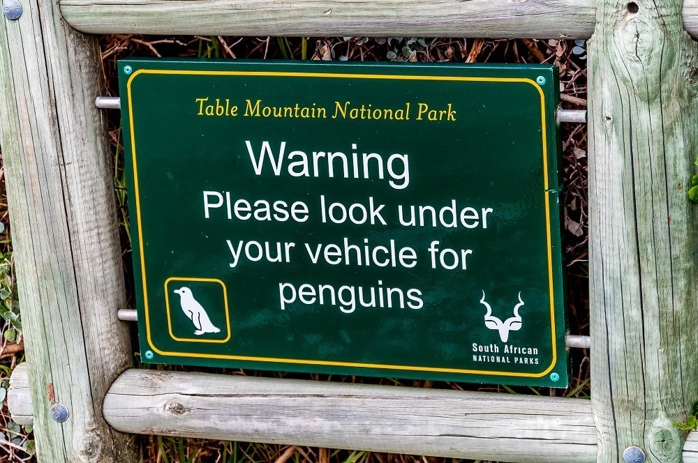 Sign saying Table Mountain National Park, Warning, Please look under your vehicle for penguins