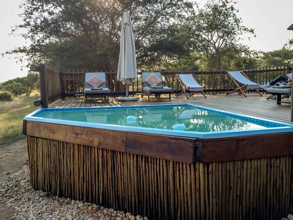 The pool at nThambo and sun loungers