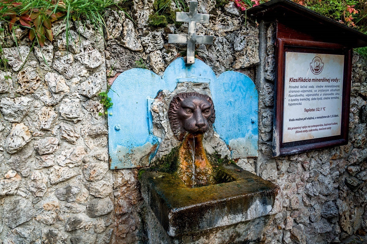 The lion's head fountain