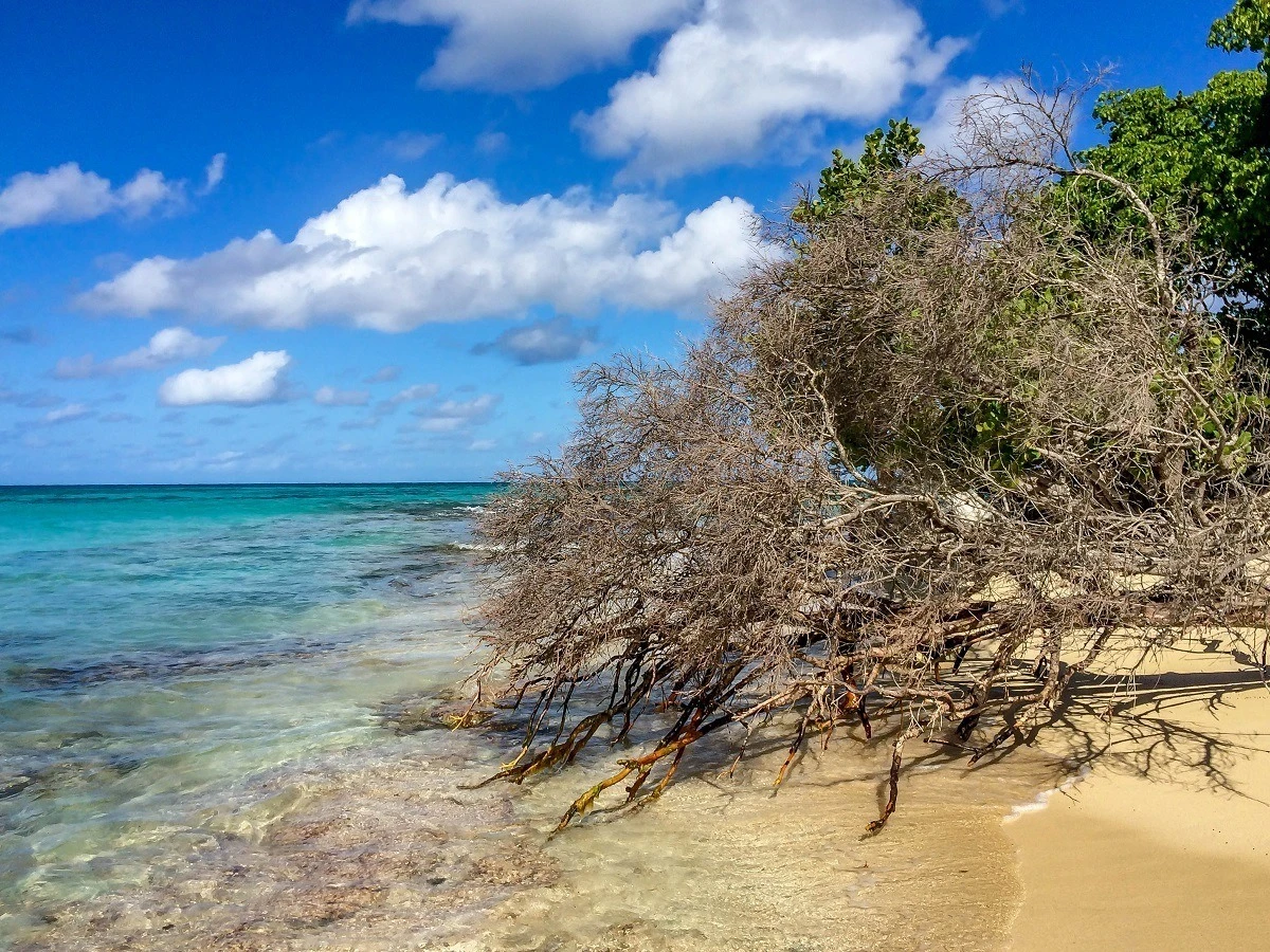 The shore of Buck Island Reef National Monument in St Croix
