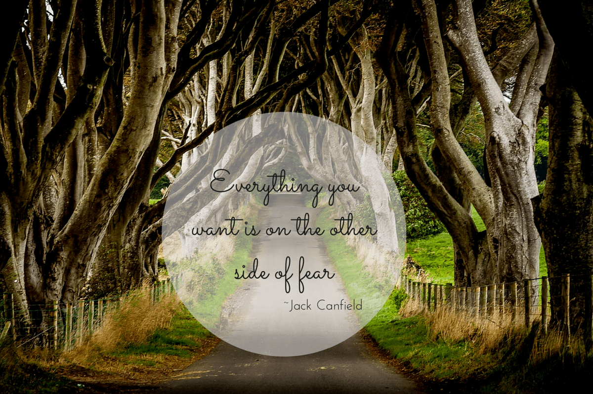 Dark-Hedges-Ireland-Everything-You-Want-Quote