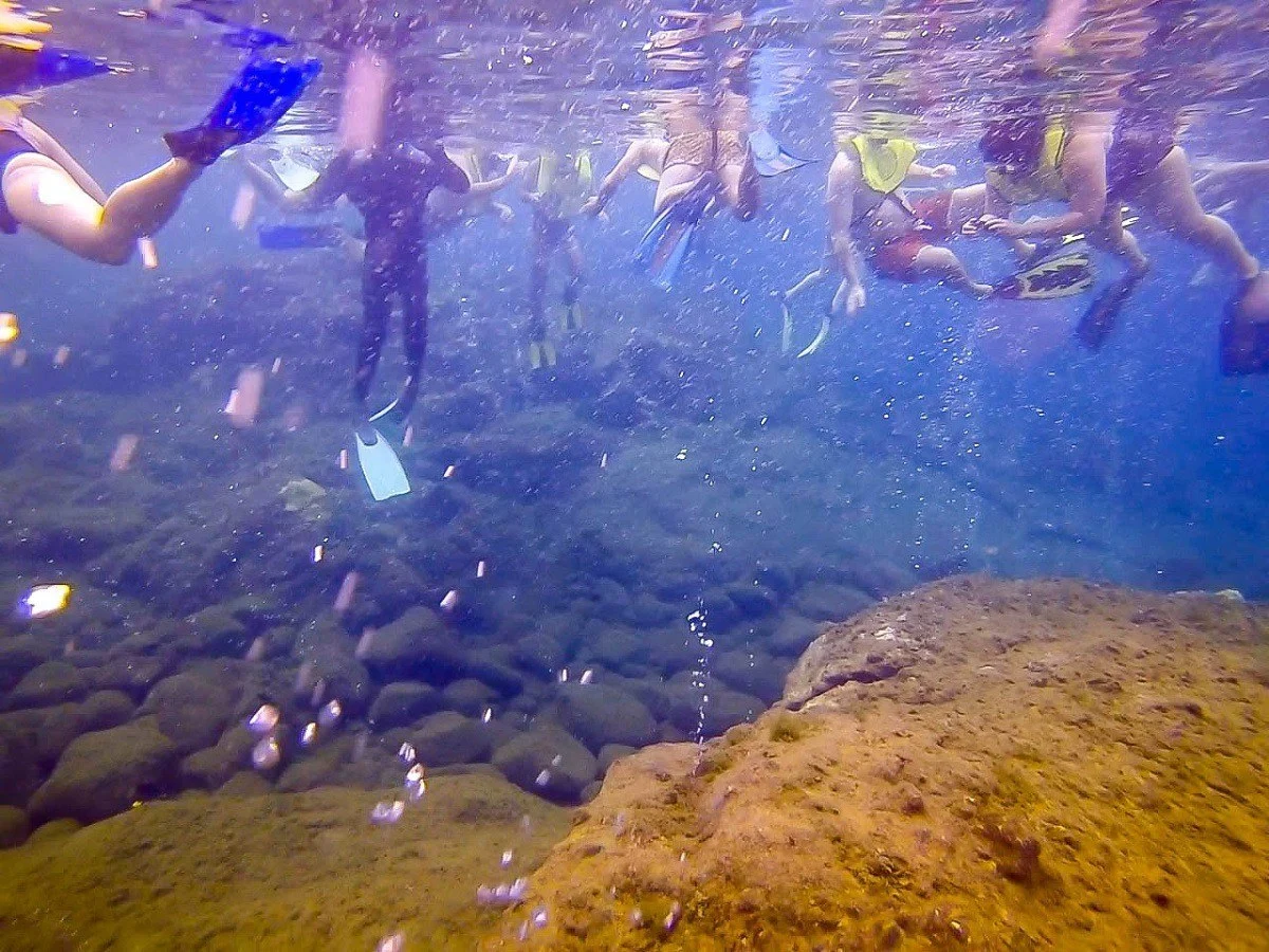 Lots of people snorkeling underwater