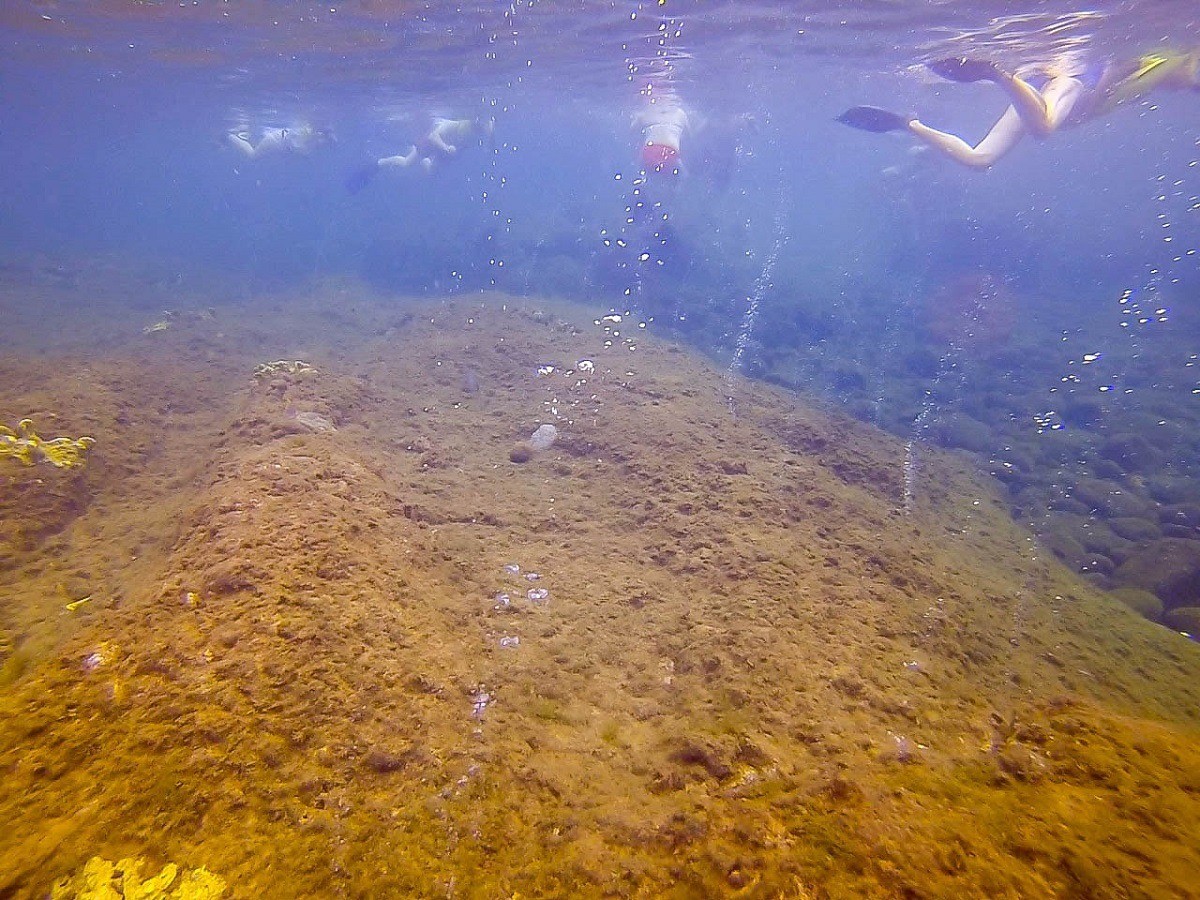 Bubbles underwater at the Champagne Reef in Dominica
