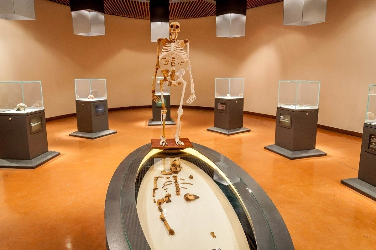Skeletal artifacts at the Maropeng Visitors Center