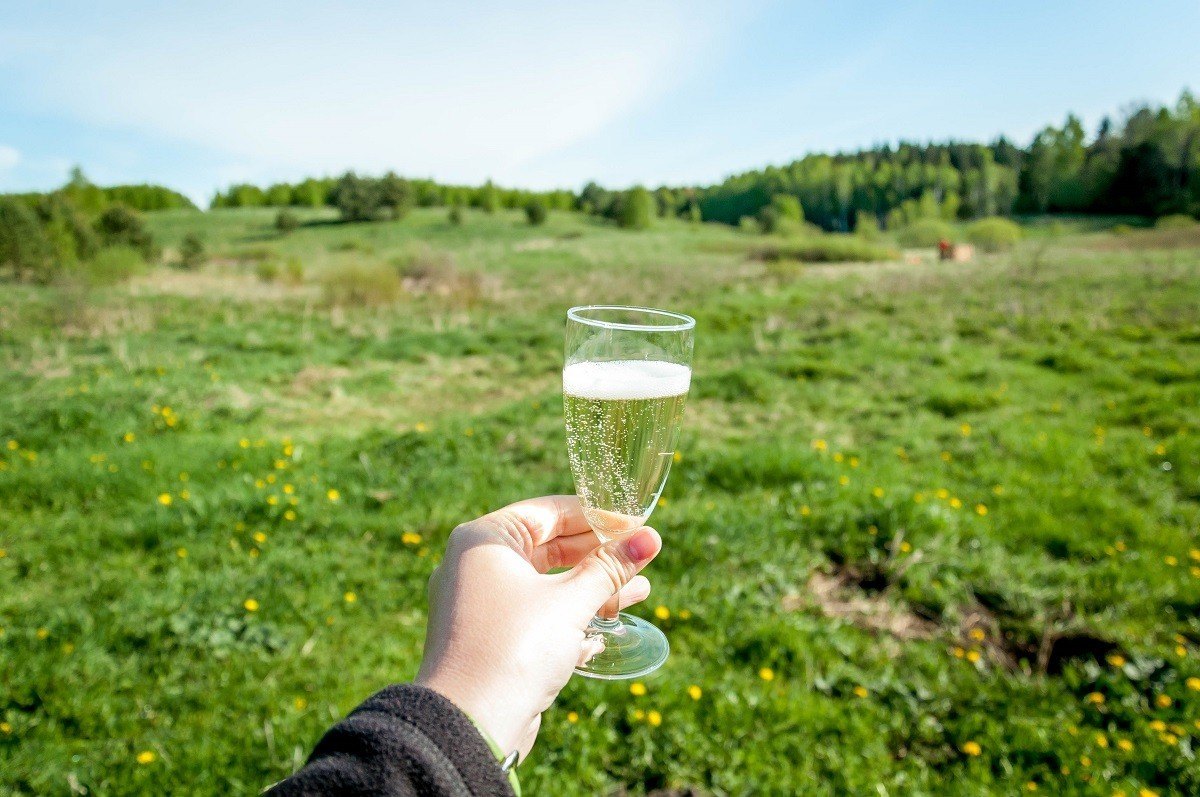 Champagne glass against grassy background