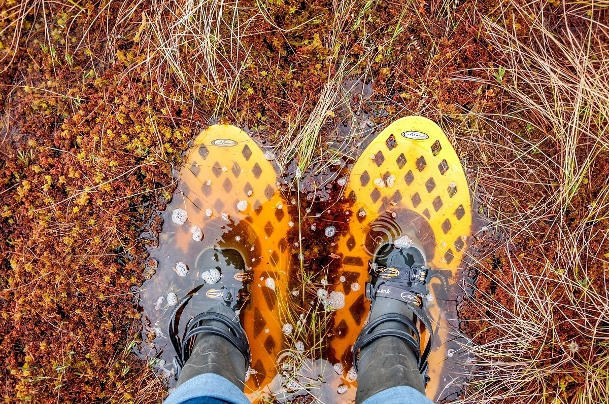 Yellow bog walking shoes sinking a bit in the bog in Estonia