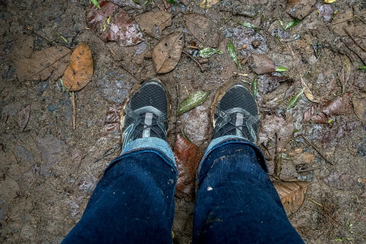 Muddy shoes