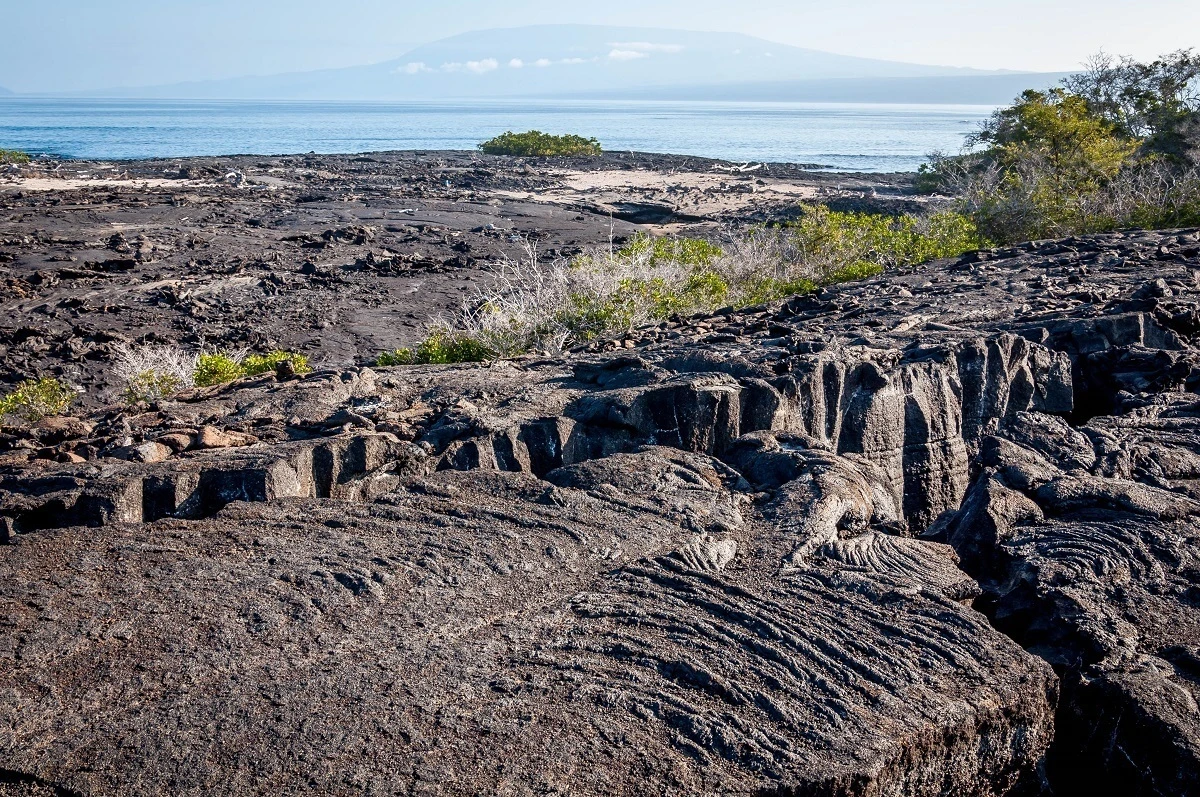 Lava flow at Punta Espinoza on Fernandina Island on the western Galapagos itinerary