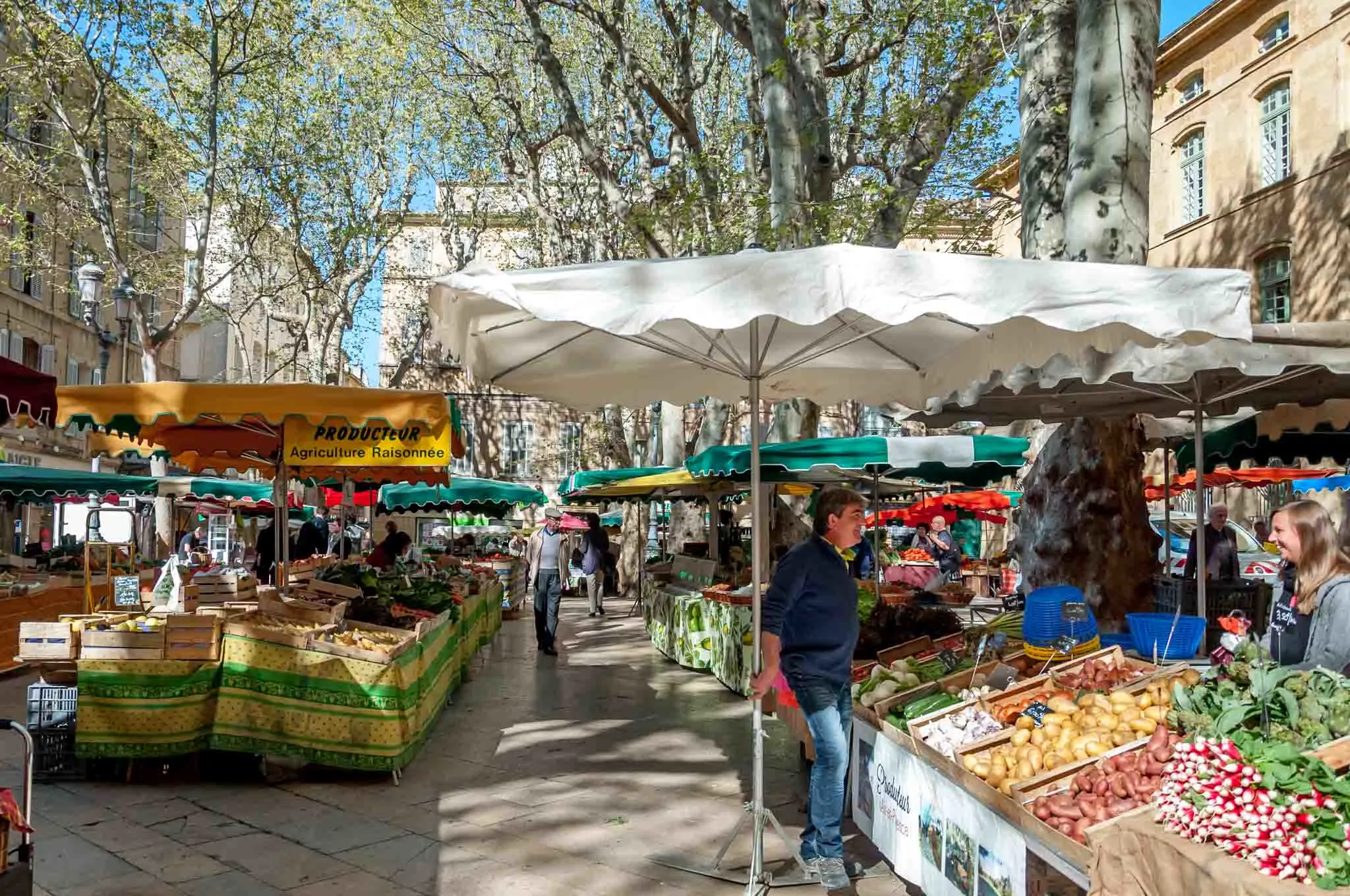 Produce vendors in a city square.