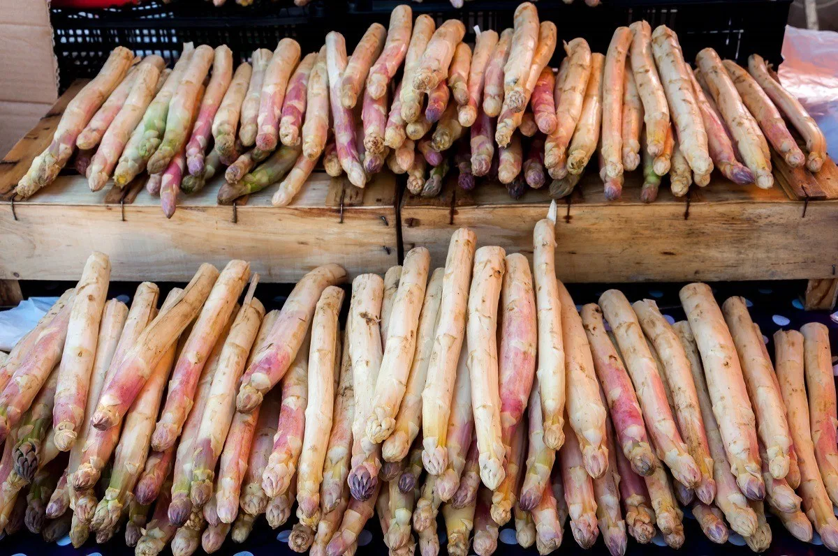 White asparagus displayed on shelves