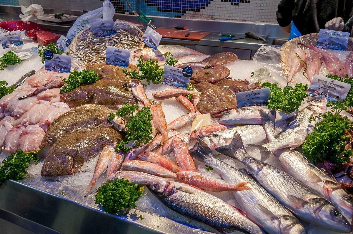Raw seafood display