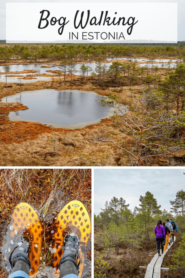 Bog walking and enjoying the outdoors are national pastimes in Estonia. Put on your bog walking shoes and get ready for a unique adventure.