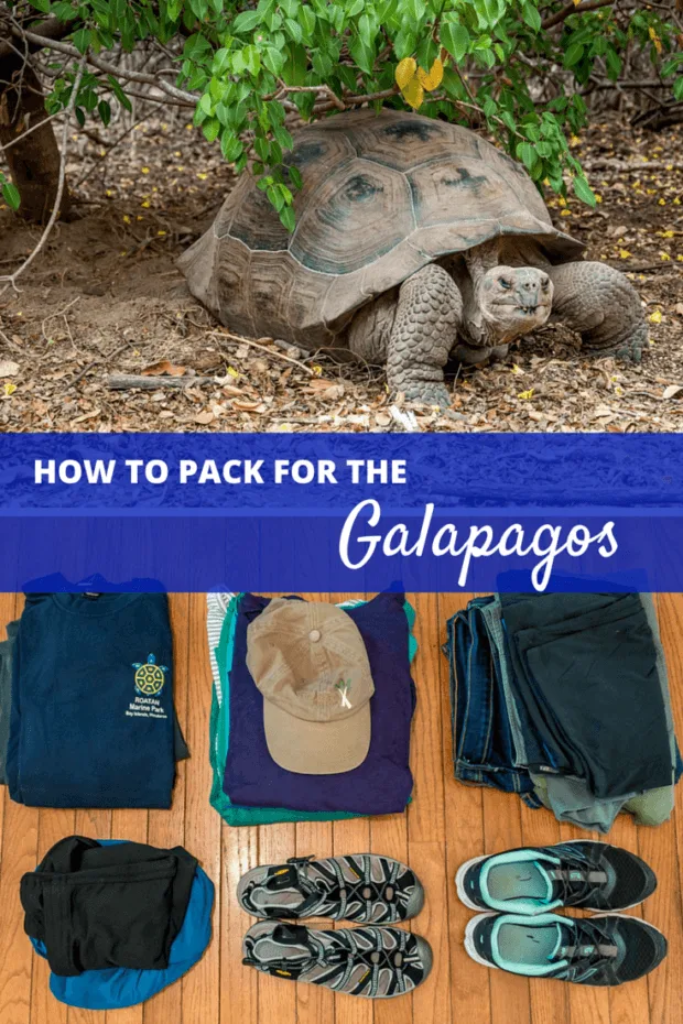 What to Pack for Ecuador and the Galapagos Islands (Plus Key Tips!)