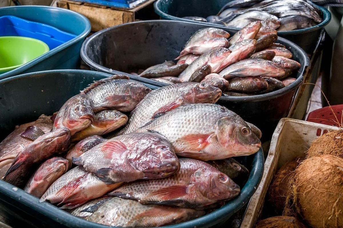 Pots of fish in the market in Otavalo