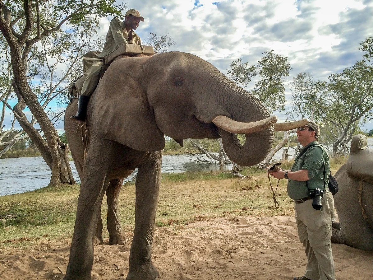 Feeding an elephant 