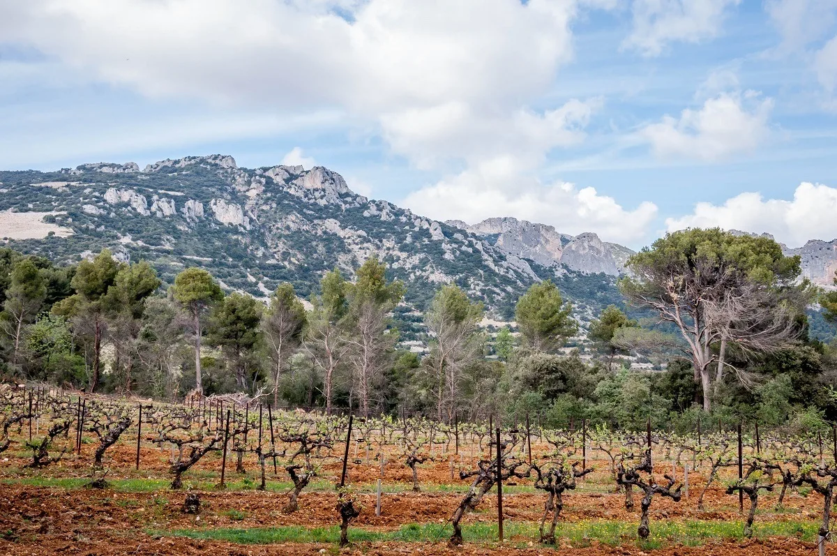 The vineyards and mountains of the Cotes du Rhone region of France