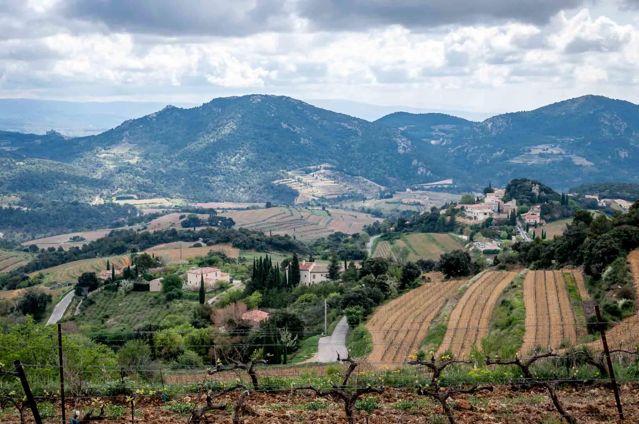 Mountains and Cotes du Rhone vineyards