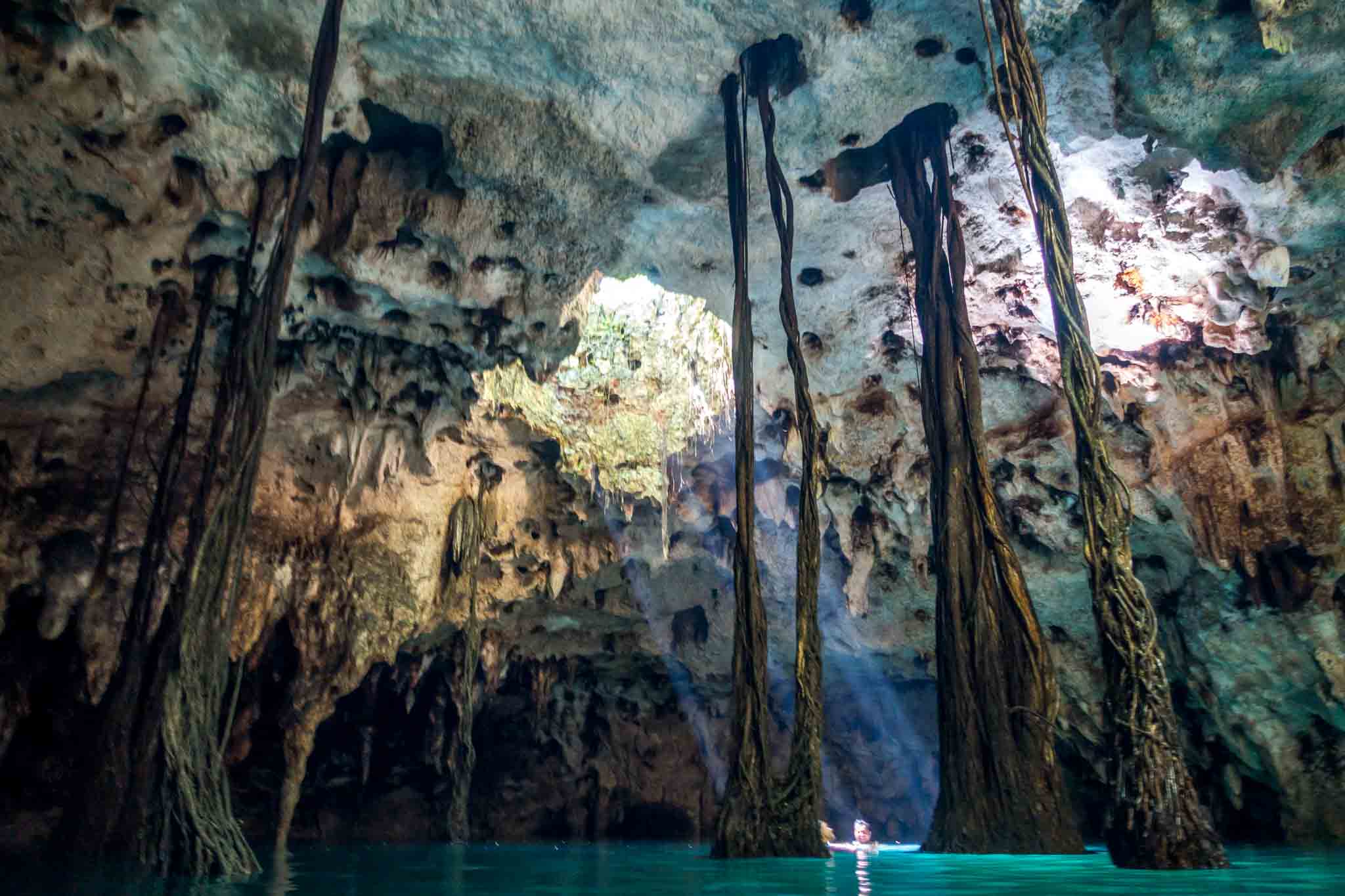 Inside a cave cenote with large roots near Cancun, Mexico