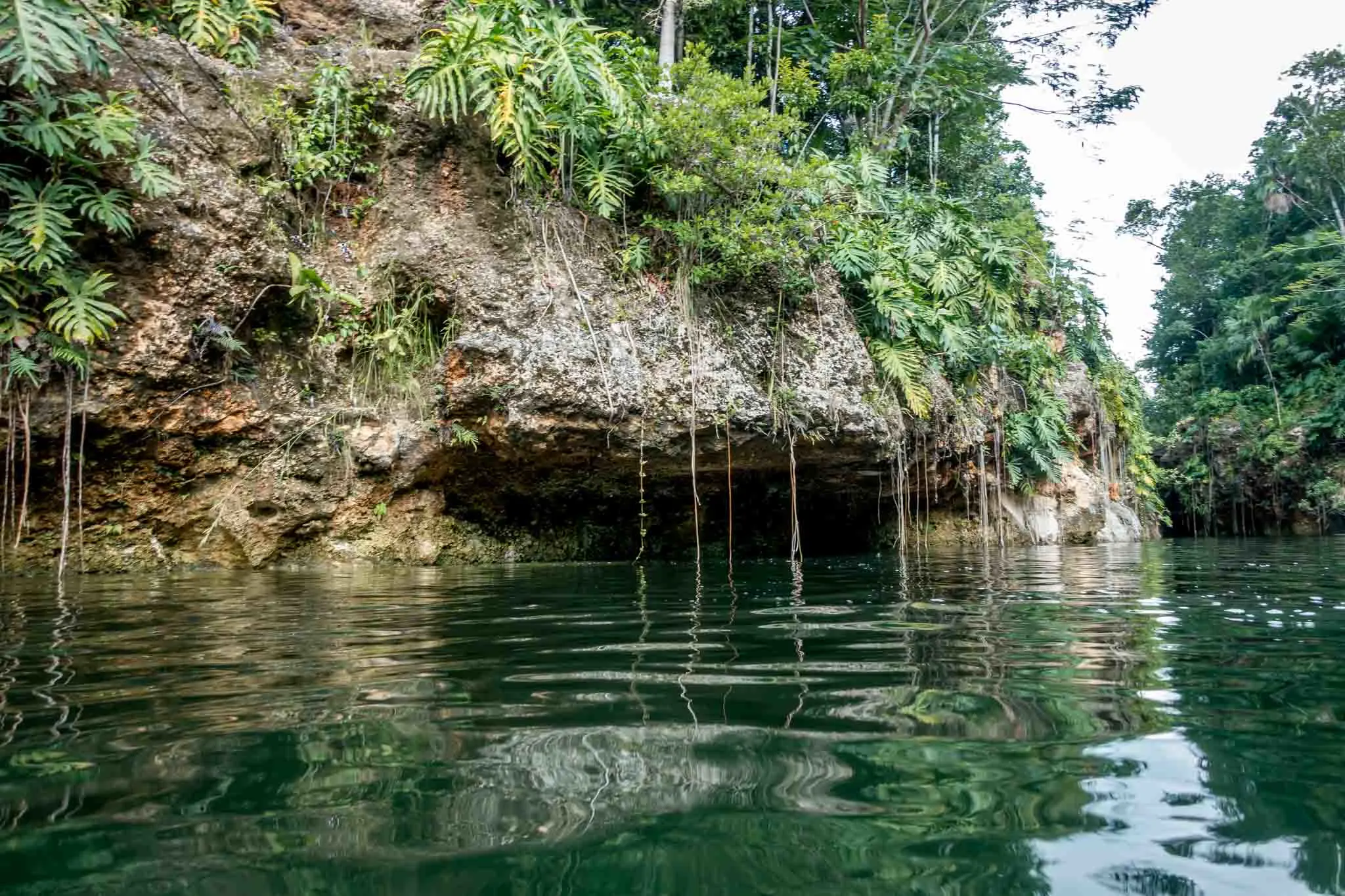 Rocky cliffs covered in plants leading down to water in a cenote