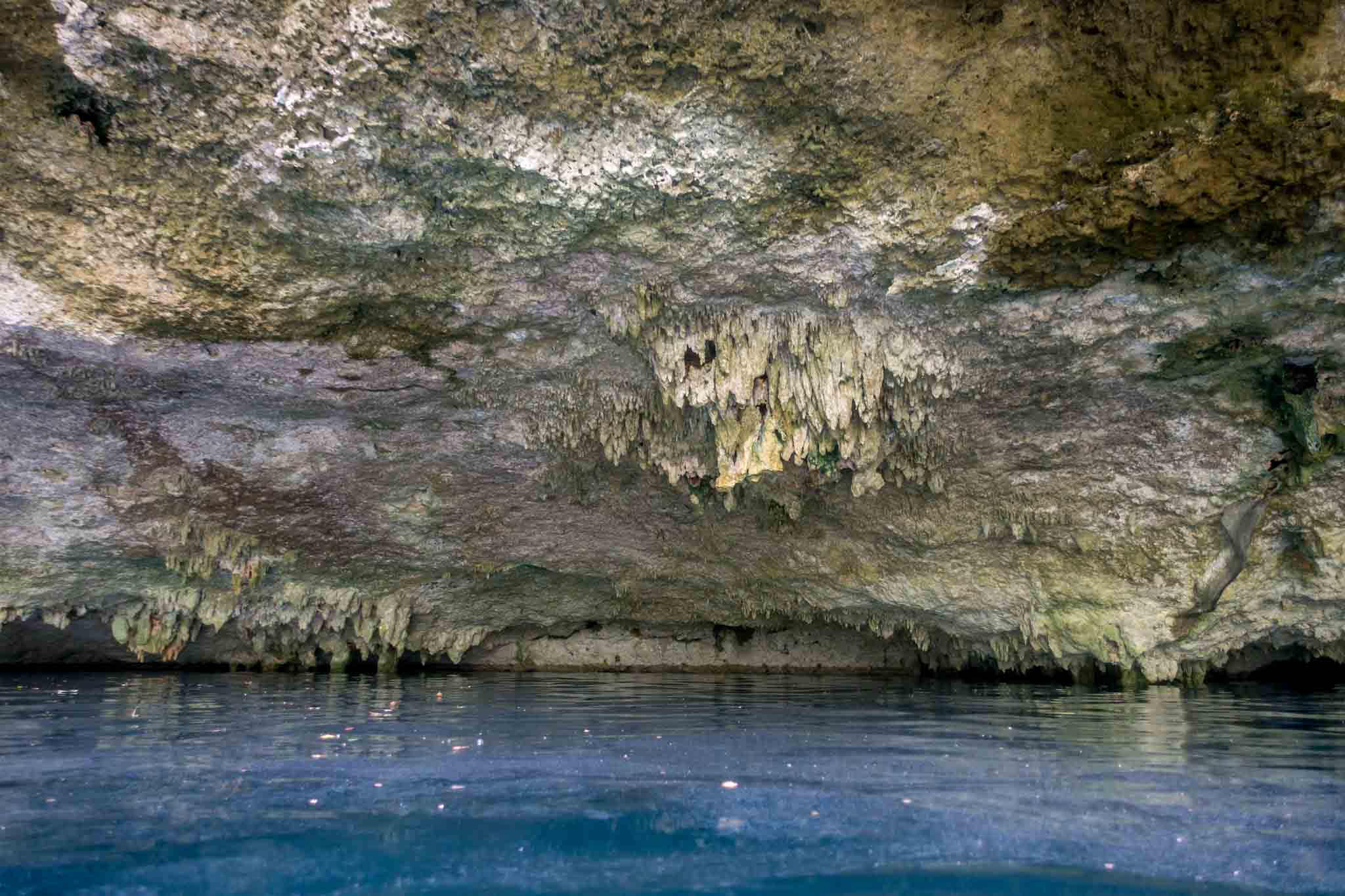 Stalactites above the water of the semi-open cenote