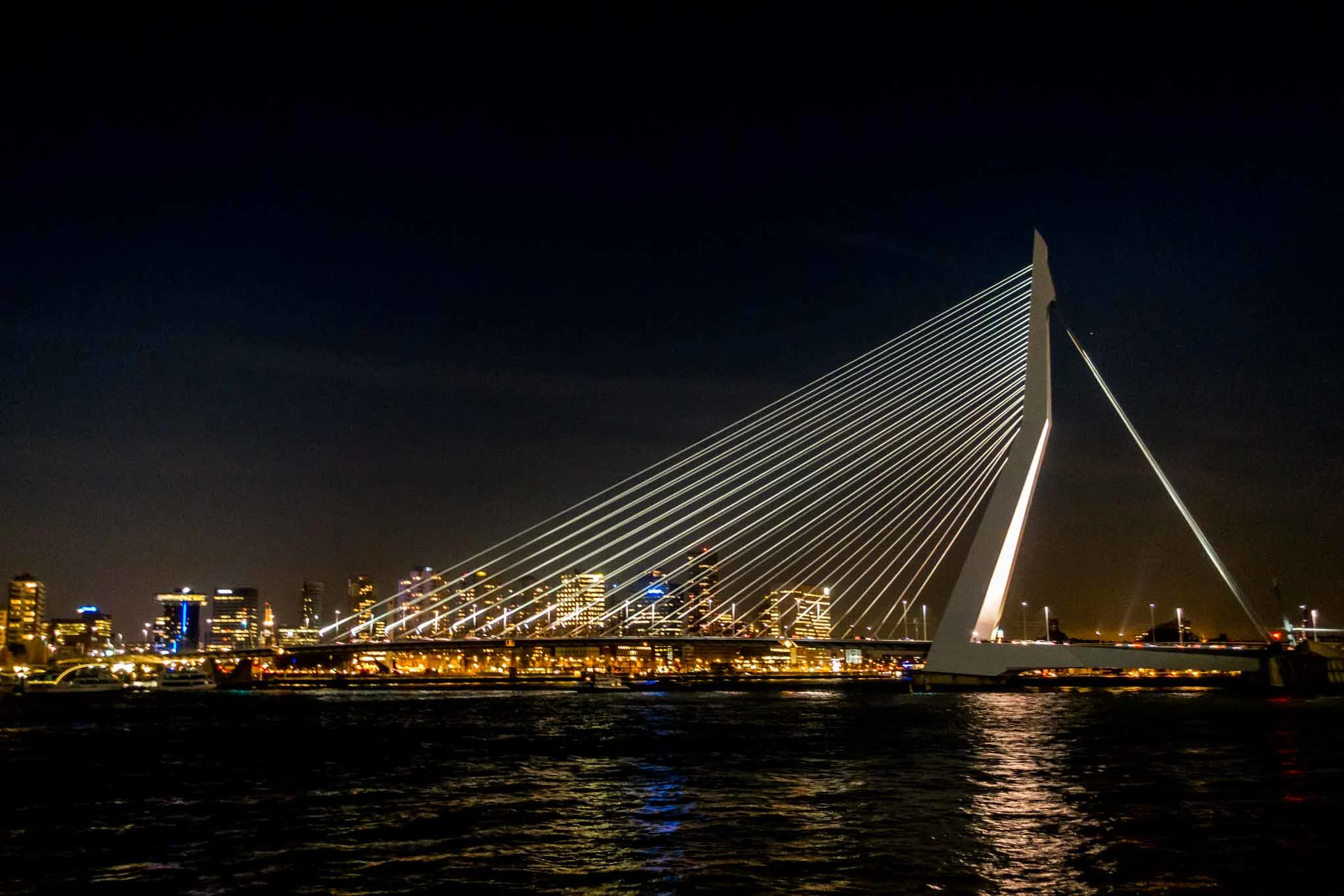 Erasmus Bridge, an angular white bridge, lit up at night with Rotterdam in the distance 