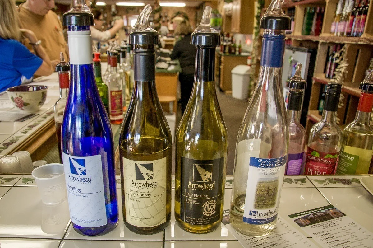 Bottles of wine at a wine tasting