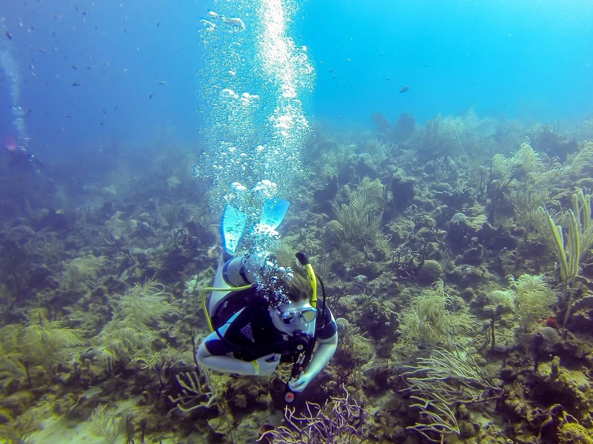 Laura scuba diving in the clear water of the Caribbean.